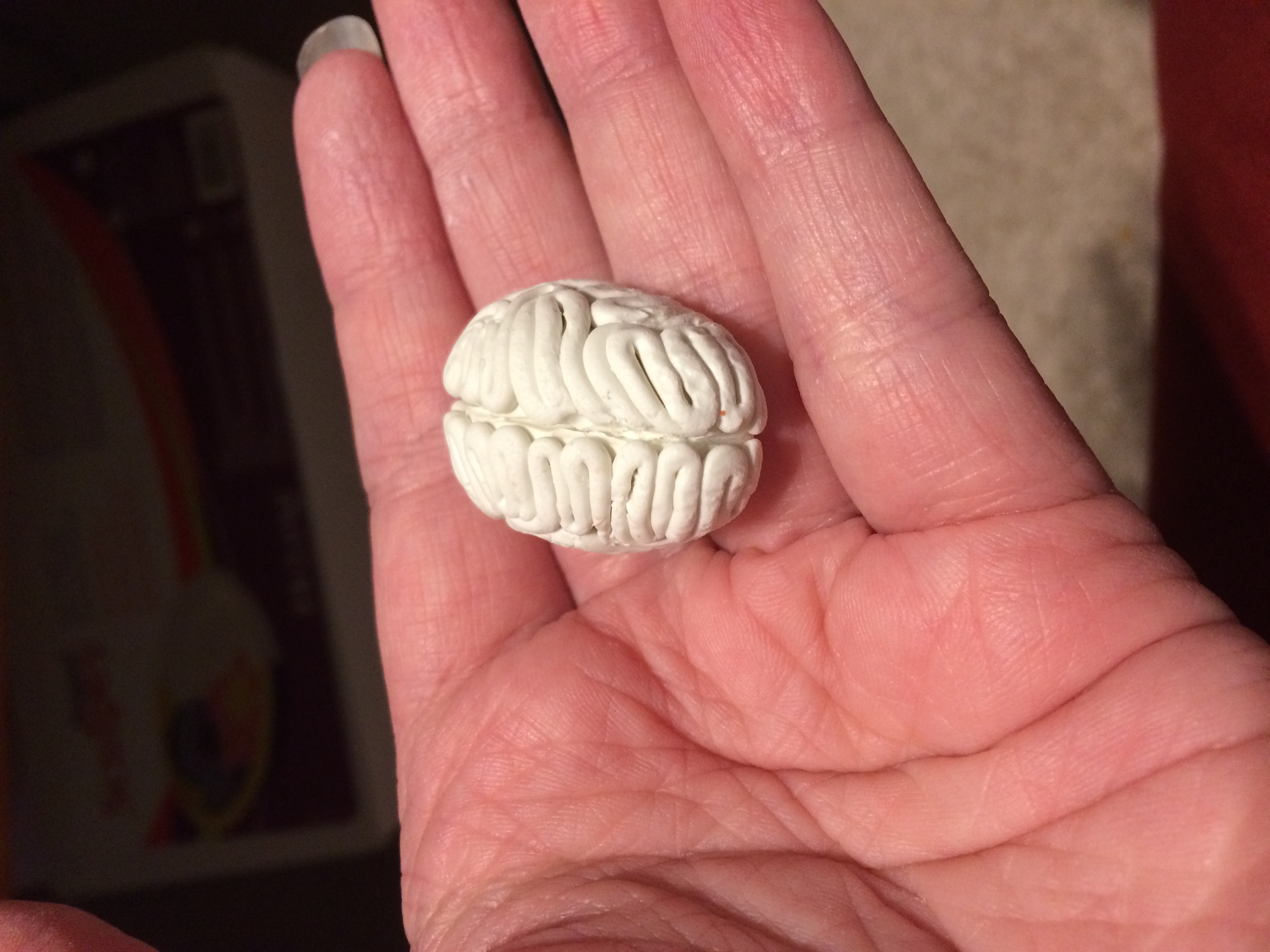 Brain necklace pendant, unfinished